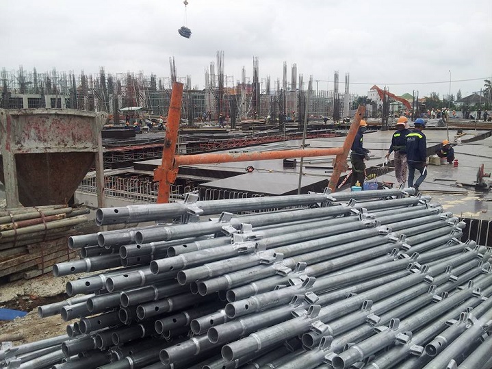 Thu mua cây chống tăng giá cao