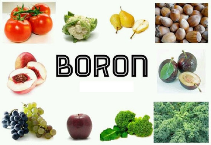ảnh hưởng sức khỏe của Boron